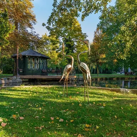 _peacock * Ilsenburg